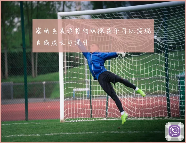 塞纳克表示将向双探花学习以实现自我成长与提升